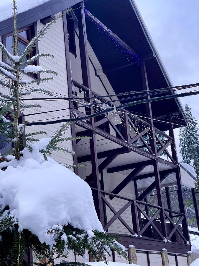 Котедж Chalet Adriana Bukovel Luaran gambar