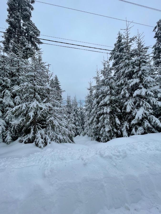 Котедж Chalet Adriana Bukovel Luaran gambar