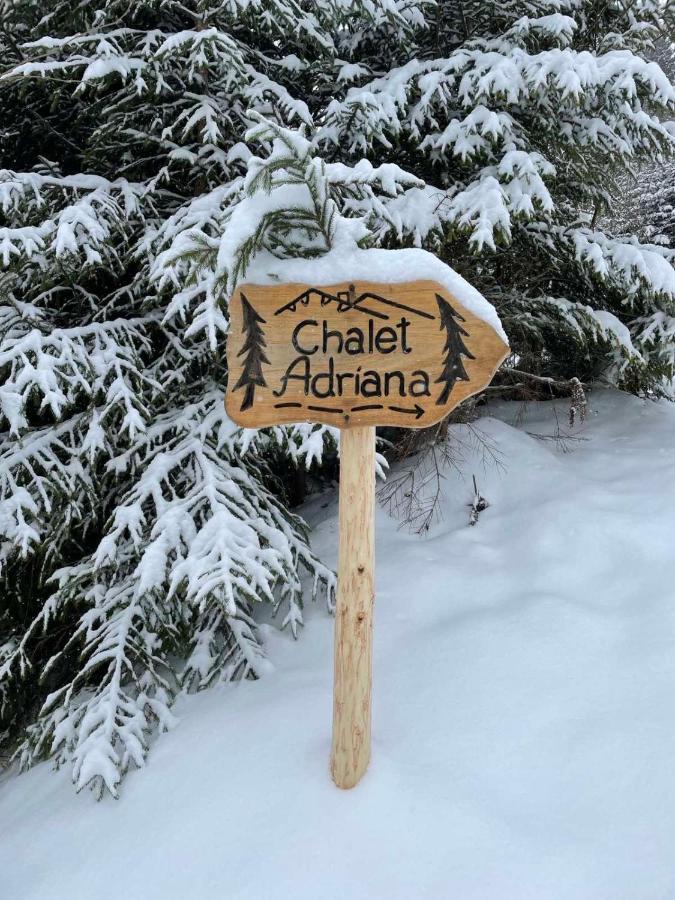 Котедж Chalet Adriana Bukovel Luaran gambar